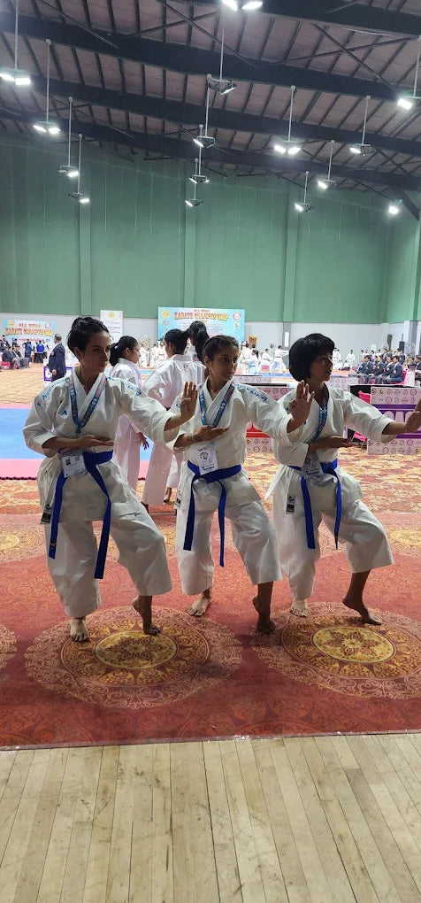 Sanshinkan Martial Arts Academy | Sector 56 Gurgaon