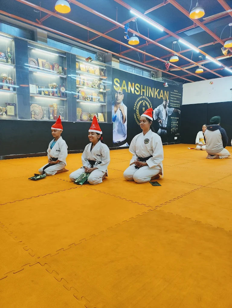 Sanshinkan Martial Arts Academy | Sector 56 Gurgaon