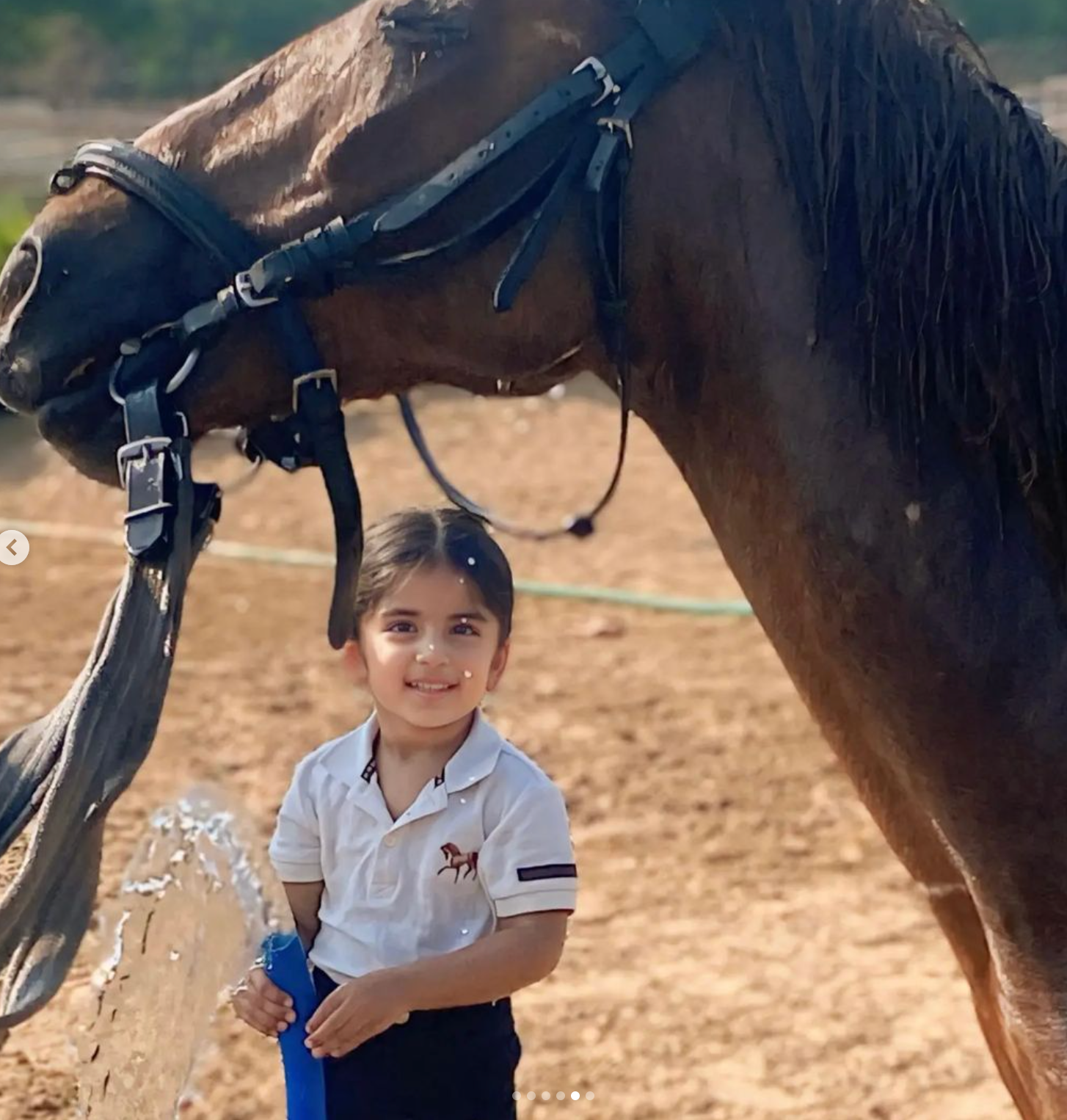 Duke Horse Riding Club | Near Heritage International Xperiential School - ActivityKidz