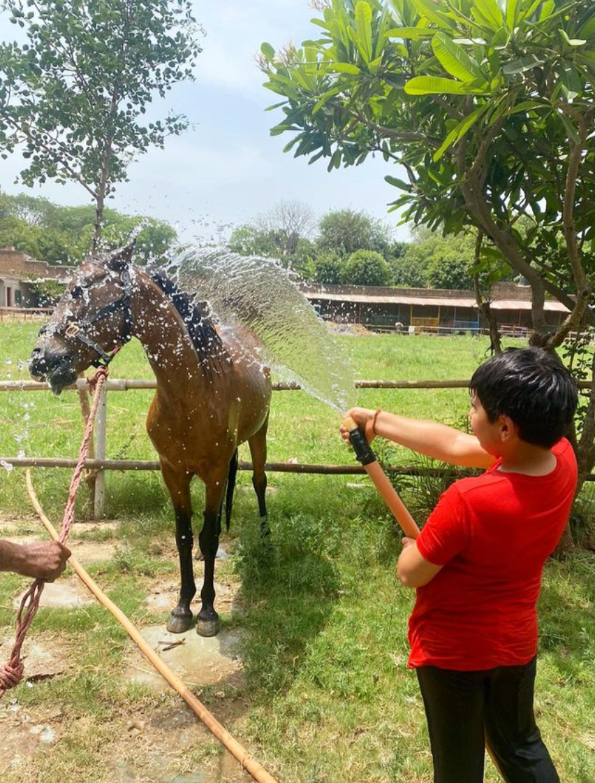 Adagio Riding Stables | Horse Riding | Near Pathways School Gurgaon - ActivityKidz