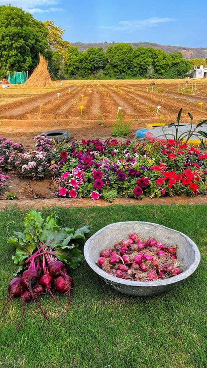 Disconnect to Reconnect At The Farm Collective (29-Mar) | Ghamroj Haryana