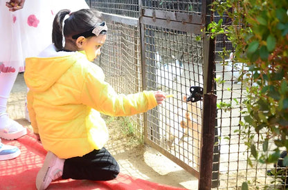 The Barnyard Animal Petting Farm | South Avenue Sainik Farm New Delhi