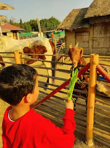 Tuk Tuk Gilhari Animal Petting Farm | Green Beauty Farms Noida