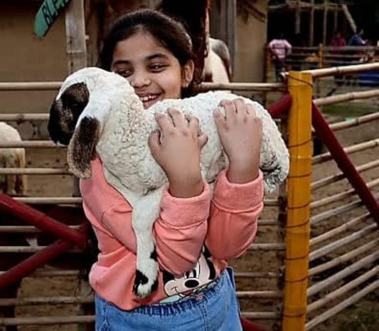 Tuk Tuk Gilhari Animal Petting Farm | Kadarpur Gurgaon
