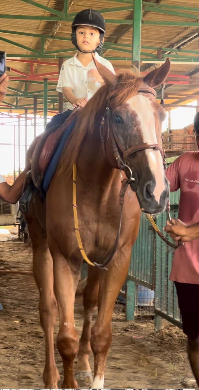 Janak Equestrian Club | Horse Riding | Dhumaspur Sector 67 Gurugram - ActivityKidz