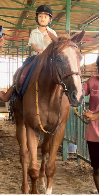 Janak Equestrian Club | Horse Riding | Dhumaspur Sector 67 Gurugram - ActivityKidz