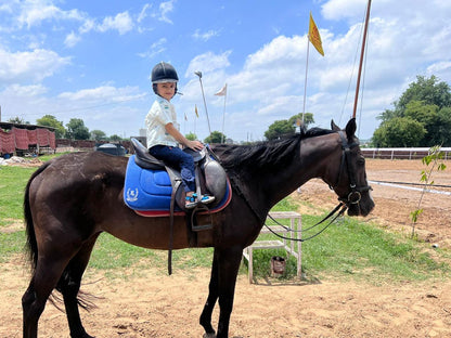 Janak Equestrian Club | Horse Riding | Dhumaspur Sector 67 Gurugram - ActivityKidz