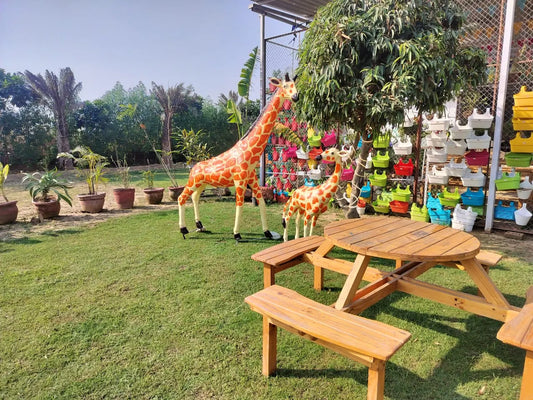 Zootopia - The Funyard Animal Petting Farm | Near Urban Akhara