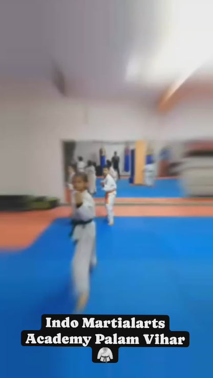 Indo-Martial Arts | Karate Kickboxing MMA | Allahabad bank Gurgaon
