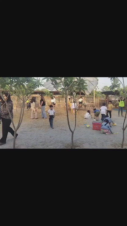Zootopia - The Funyard Animal Petting Farm | Near Urban Akhara