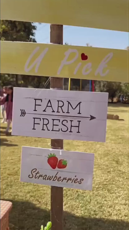 Farmus Strawberry Picking Organic Farming and Space Exploration | Sector 67 Gurgaon