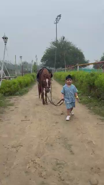 デューク乗馬クラブ | ヘリテージ インターナショナル エクスペリエンス スクールの近く