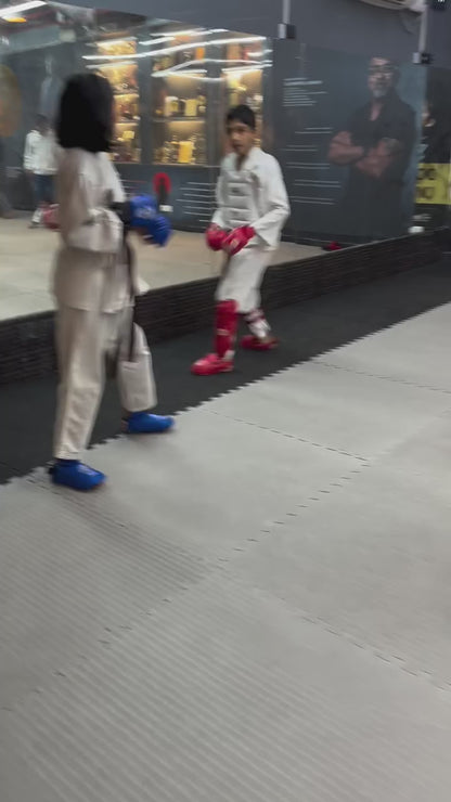 Sanshinkan Martial Arts Academy | Sector 56 Gurgaon