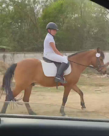 Adagio Riding Stables | Horse Riding | Near Pathways School Gurgaon