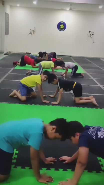 Om BJJ & MMA Academy for Martial Arts | Huda Colony Sector 46 Gurgaon