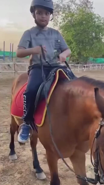 Adagio Riding Stables | Horse Riding | Near Pathways School Gurgaon