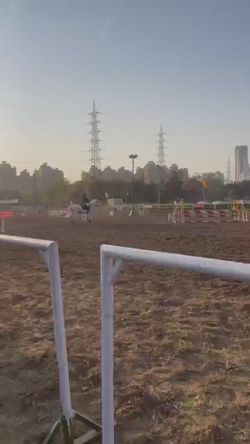 Janak Equestrian Club | Horse Riding | Dhumaspur Sector 67 Gurugram