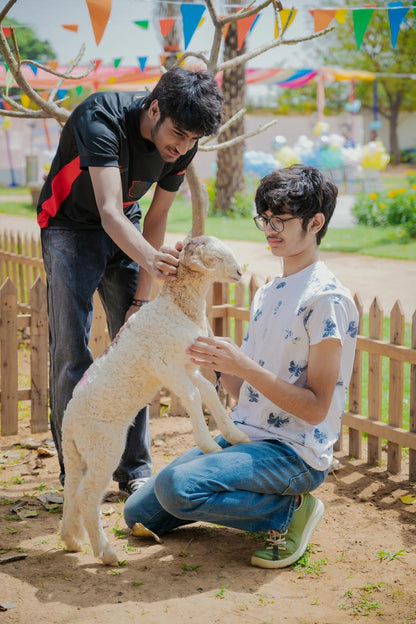 Story Telling & Craft Serengeti Petting Park (28-Sep) | Sector 67 Gurgaon