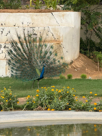 Story Telling & Craft Serengeti Petting Park (28-Sep) | Sector 67 Gurgaon