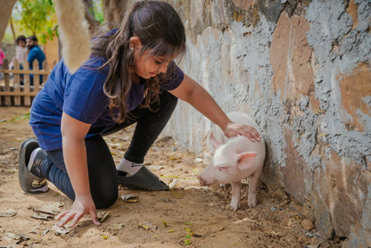 Story Telling & Craft Serengeti Petting Park (28-Sep) | Sector 67 Gurgaon