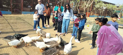 Zootopia - The Funyard Animal Petting Farm | Near Urban Akhara